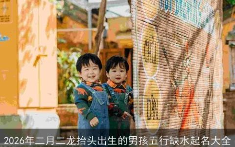 2026年二月二龙抬头出生的男孩五行缺水起名大全