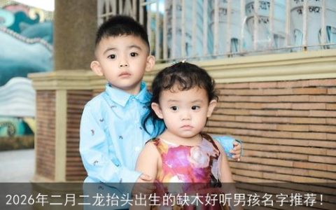 2026年二月二龙抬头出生的缺木好听男孩名字推荐！