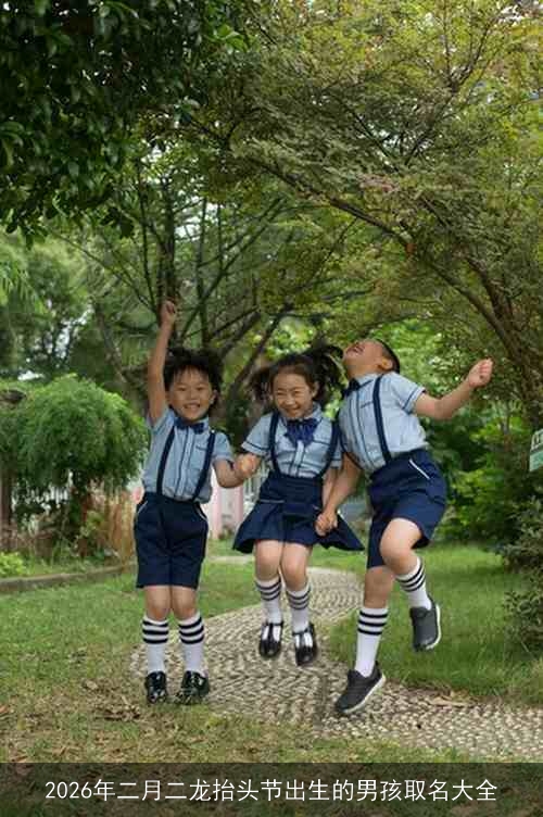 2026年二月二龙抬头节出生的男孩取名大全