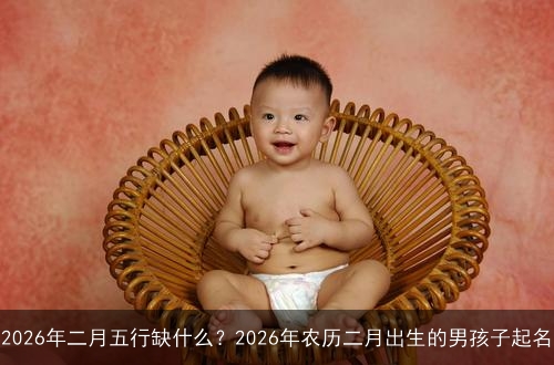 2026年二月五行缺什么？2026年农历二月出生的男孩子起名