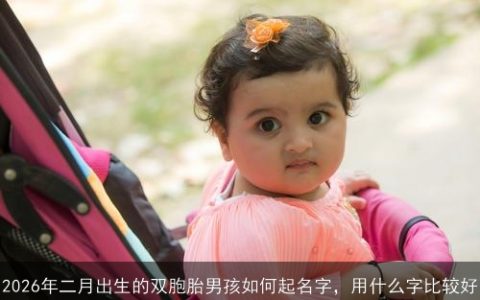 2026年二月出生的双胞胎男孩如何起名字，用什么字比较好