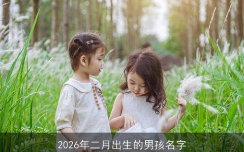 2026年二月出生的男孩名字