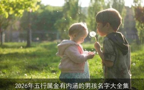 2026年五行属金有内涵的男孩名字大全集