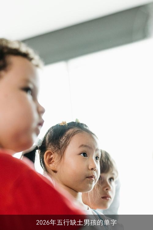 2026年五行缺土男孩的单字