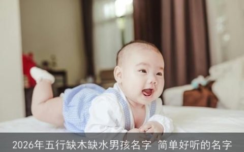 2026年五行缺木缺水男孩名字 简单好听的名字