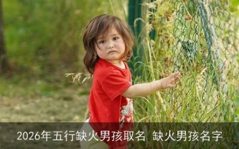2026年五行缺火男孩取名 缺火男孩名字