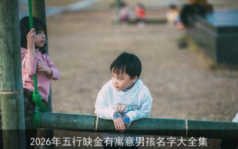 2026年五行缺金有寓意男孩名字大全集
