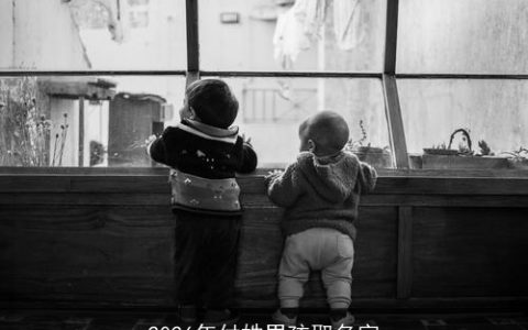 2026年付姓男孩取名字