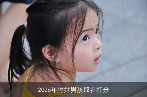 2026年付姓男孩取名打分