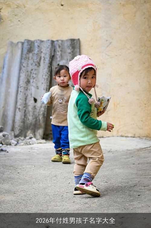 2026年付姓男孩子名字大全