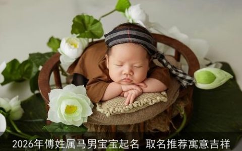 2026年傅姓属马男宝宝起名 取名推荐寓意吉祥
