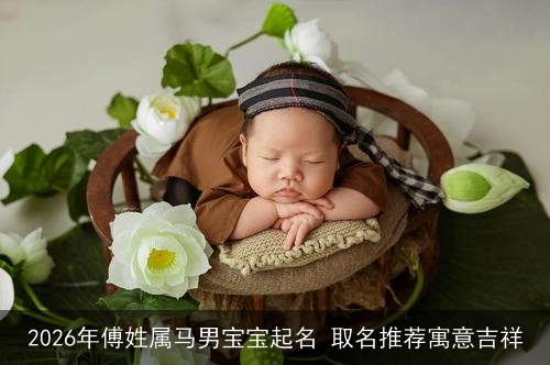2026年傅姓属马男宝宝起名 取名推荐寓意吉祥