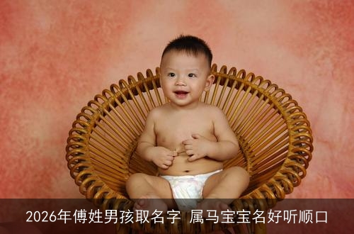 2026年傅姓男孩取名字 属马宝宝名好听顺口