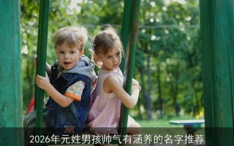 2026年元姓男孩帅气有涵养的名字推荐