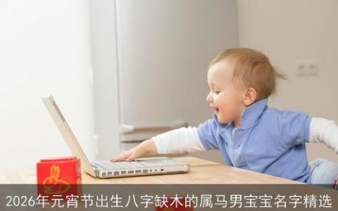 2026年元宵节出生八字缺木的属马男宝宝名字精选
