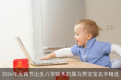 2026年元宵节出生八字缺木的属马男宝宝名字精选