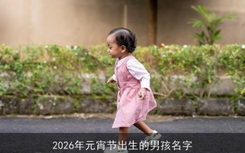 2026年元宵节出生的男孩名字