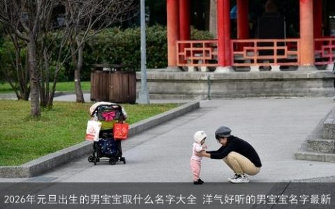 2026年元旦出生的男宝宝取什么名字大全 洋气好听的男宝宝名字最新
