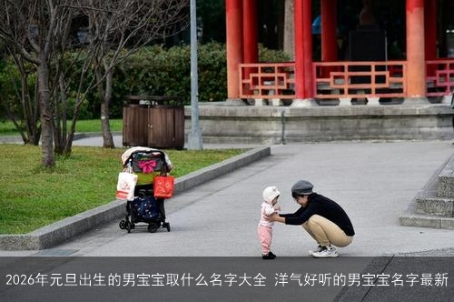2026年元旦出生的男宝宝取什么名字大全 洋气好听的男宝宝名字最新