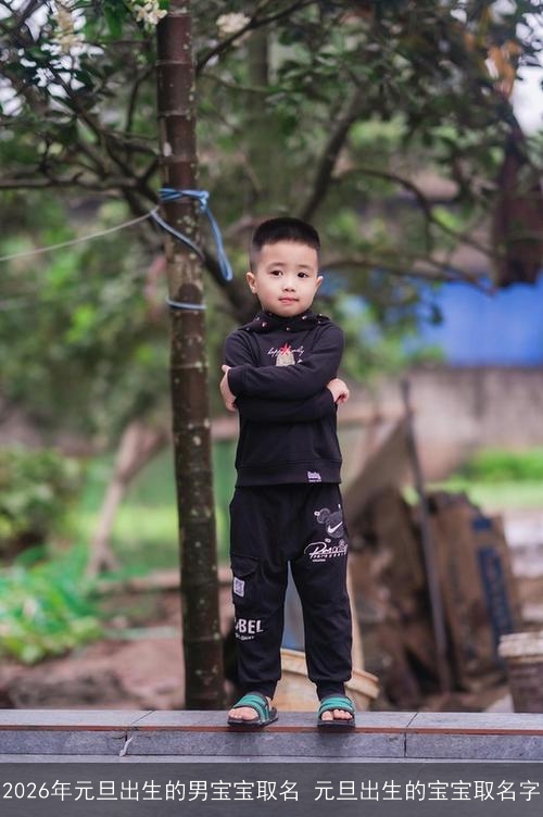 2026年元旦出生的男宝宝取名 元旦出生的宝宝取名字