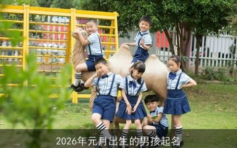 2026年元月出生的男孩起名