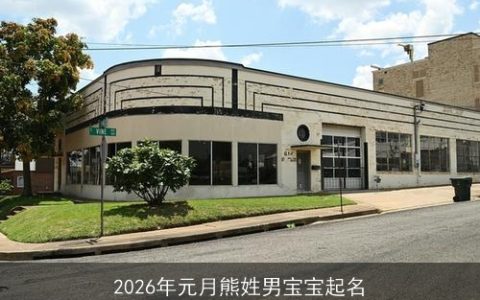 2026年元月熊姓男宝宝起名