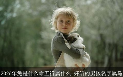 2026年兔是什么命五行属什么 好听的男孩名字属马