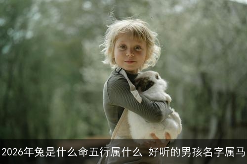 2026年兔是什么命五行属什么 好听的男孩名字属马