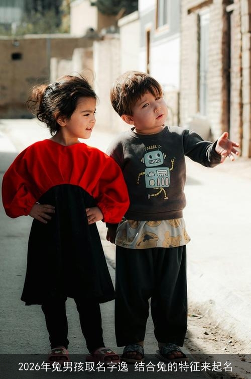 2026年兔男孩取名字逸 结合兔的特征来起名