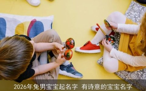 2026年兔男宝宝起名字 有诗意的宝宝名字