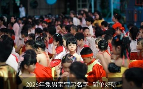 2026年兔男宝宝起名字 简单好听