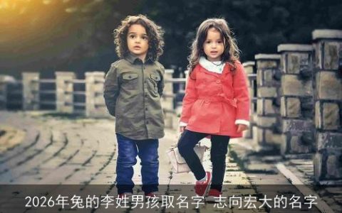 2026年兔的李姓男孩取名字 志向宏大的名字