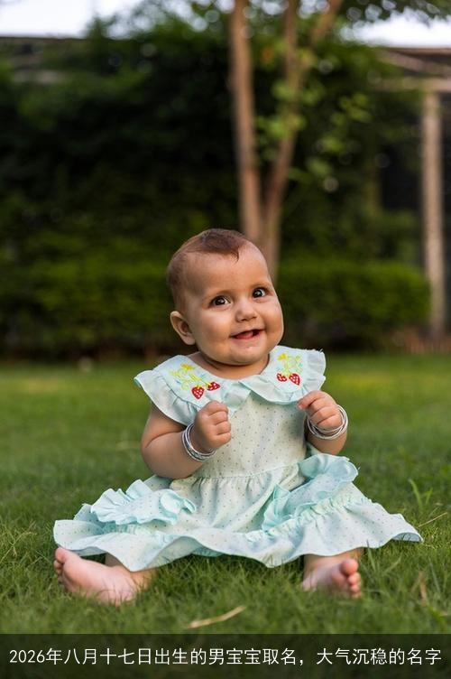 2026年八月十七日出生的男宝宝取名，大气沉稳的名字