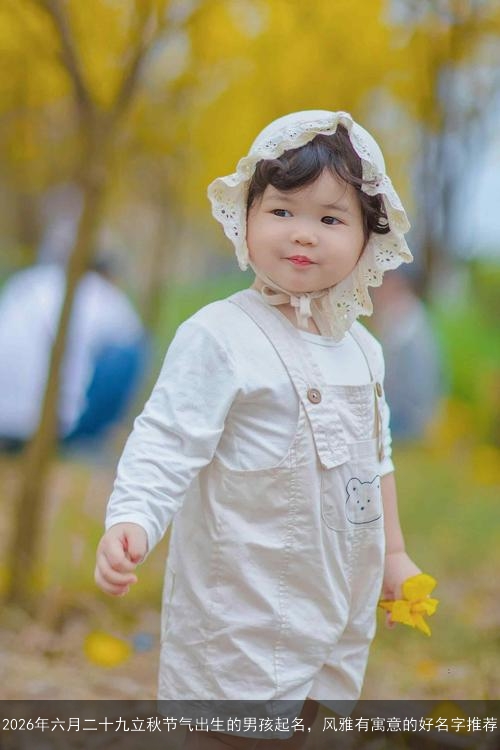 2026年六月二十九立秋节气出生的男孩起名，风雅有寓意的好名字推荐