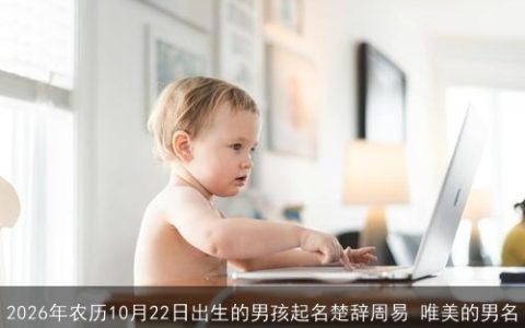 2026年农历10月22日出生的男孩起名楚辞周易 唯美的男名