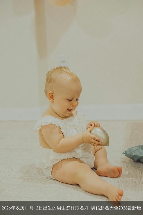 2026年农历11月12日出生的男生怎样取名好 男孩起名大全2026最新版