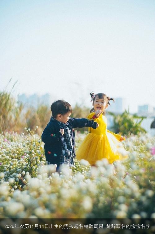 2026年农历11月14日出生的男孩起名楚辞周易 楚辞取名的宝宝名字