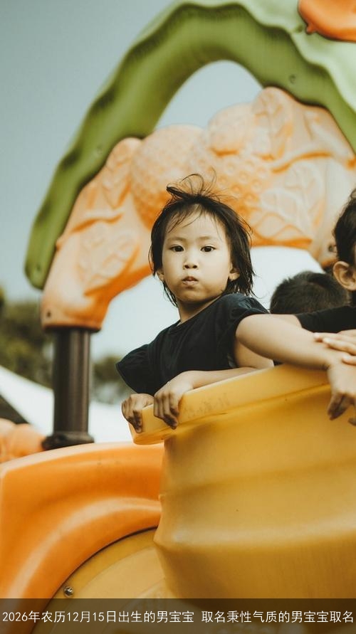 2026年农历12月15日出生的男宝宝 取名秉性气质的男宝宝取名