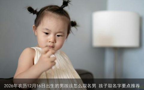 2026年农历12月16日出生的男孩该怎么取名男 孩子取名字要点推荐