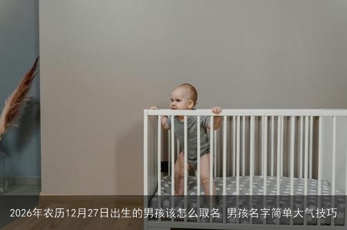 2026年农历12月27日出生的男孩该怎么取名 男孩名字简单大气技巧
