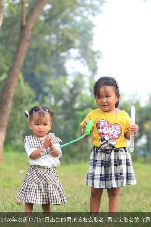 2026年农历12月31日出生的男孩该怎么取名 男宝宝取名的宜忌