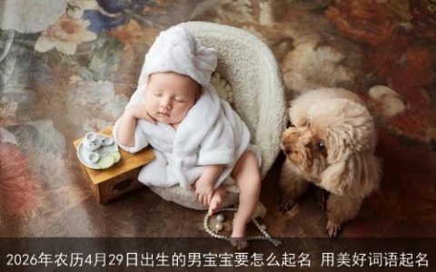 2026年农历4月29日出生的男宝宝要怎么起名 用美好词语起名