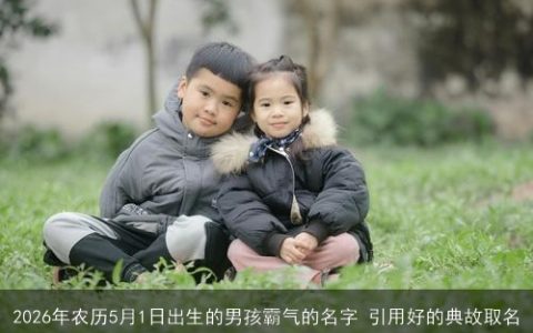 2026年农历5月1日出生的男孩霸气的名字 引用好的典故取名