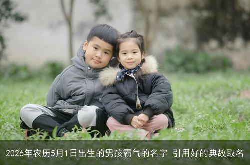 2026年农历5月1日出生的男孩霸气的名字 引用好的典故取名