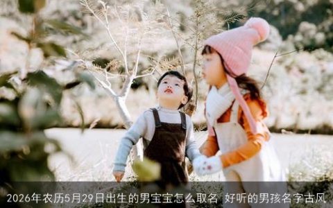 2026年农历5月29日出生的男宝宝怎么取名 好听的男孩名字古风