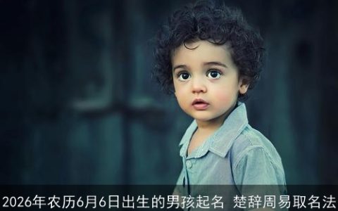 2026年农历6月6日出生的男孩起名 楚辞周易取名法