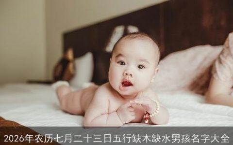 2026年农历七月二十三日五行缺木缺水男孩名字大全