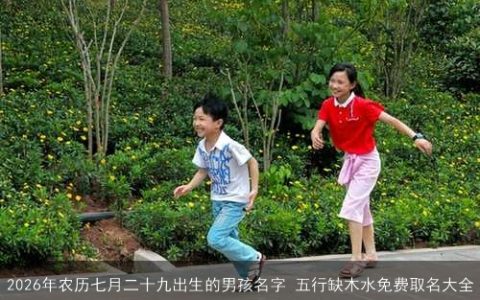 2026年农历七月二十九出生的男孩名字 五行缺木水免费取名大全