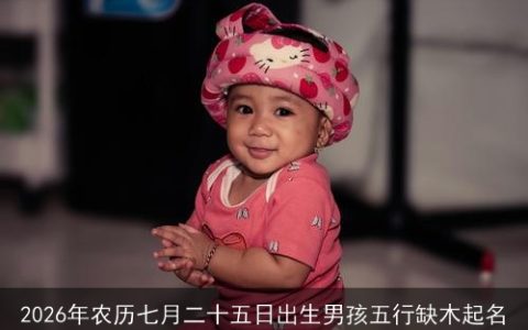 2026年农历七月二十五日出生男孩五行缺木起名