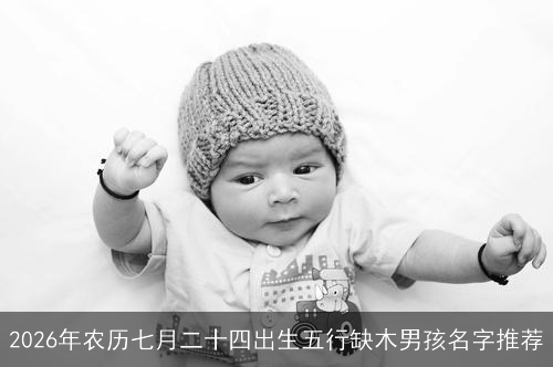 2026年农历七月二十四出生五行缺木男孩名字推荐